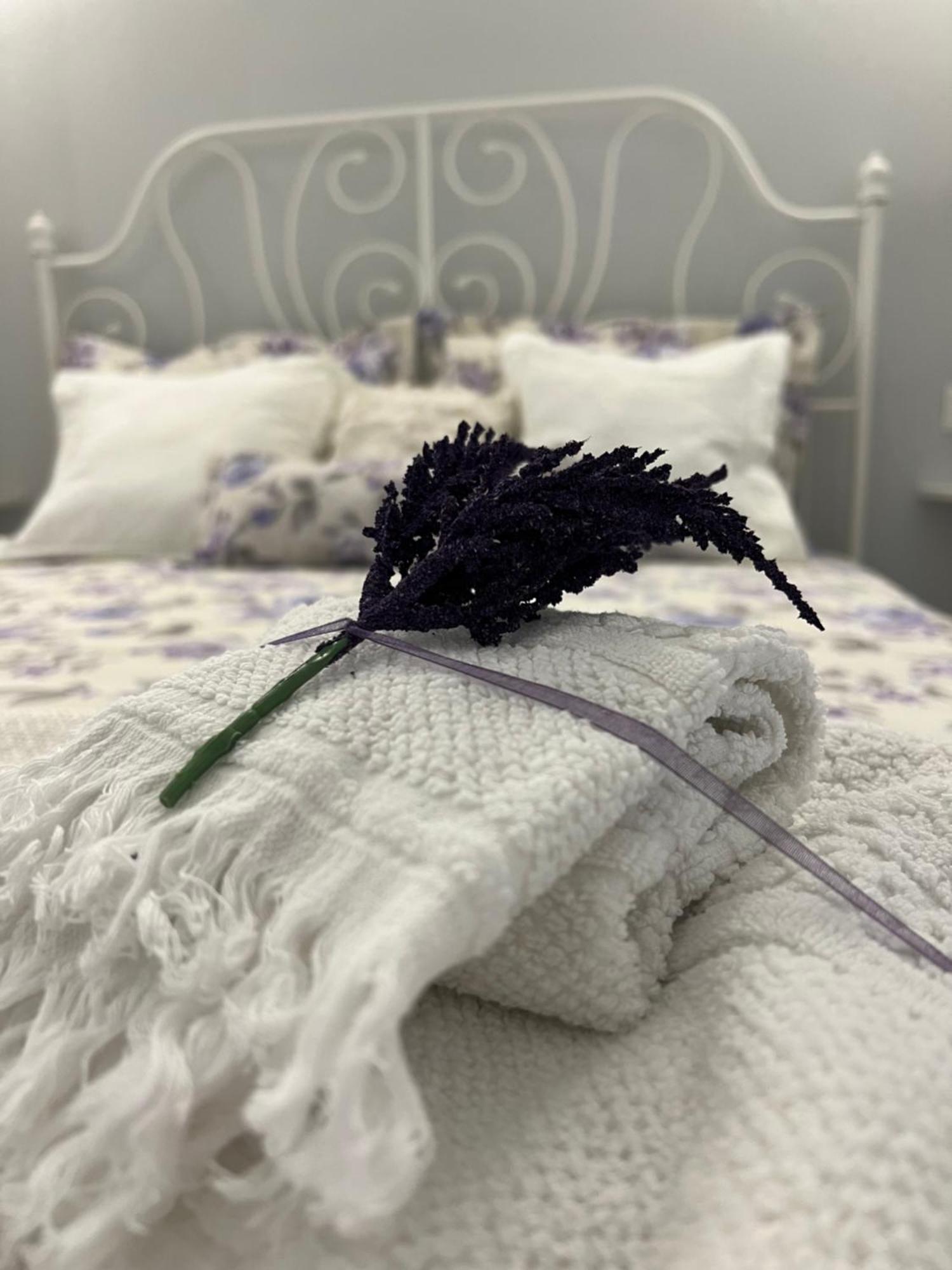 B&B Puglia D'Amare ลิซซาโน ห้อง รูปภาพ